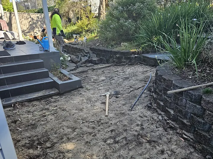 Before: side yard